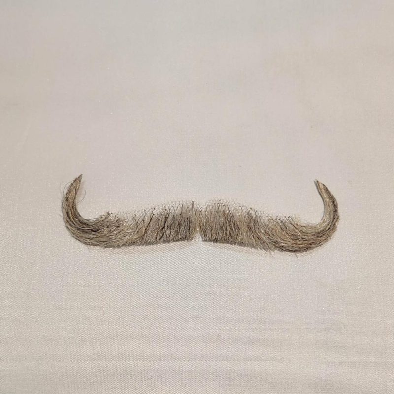 Ambassador 3 Moustache  |  Facial Hair Facial Hair Black