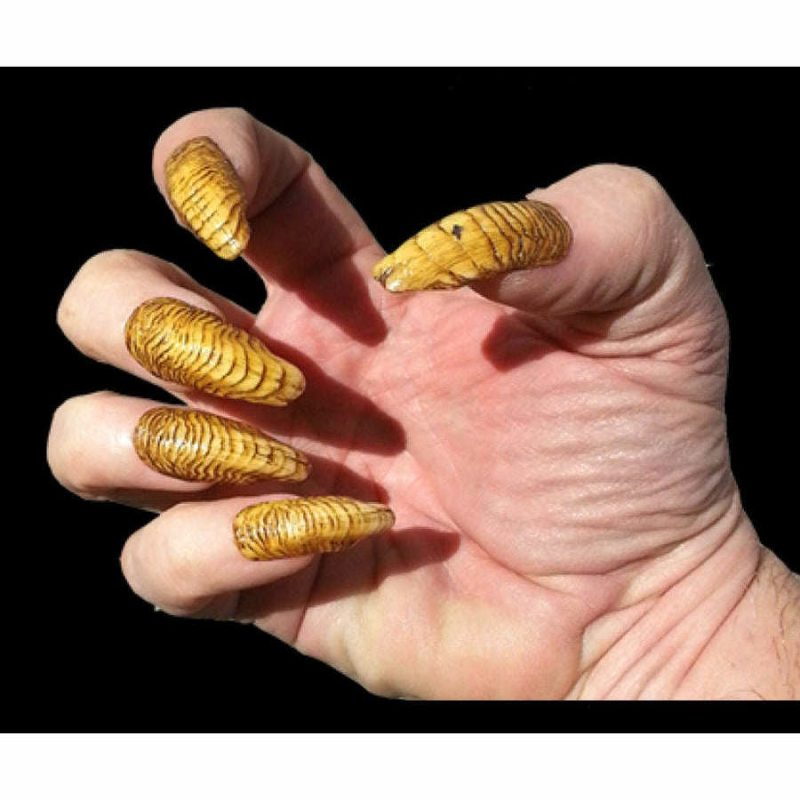 Demonic Yellow Creepy Claws Fake Nails  |  Special Fx Makeup Special Fx Makeup Special Fx Makeup