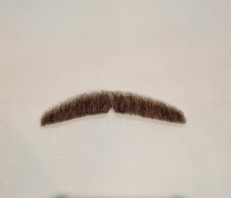 Monsieur 1 Moustache  |  Facial Hair Facial Hair Auburn