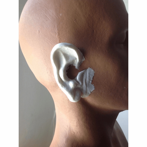 Aged Ears Foam Latex Prosthetics  |  Prosthetic Makeup Prosthetic Makeup Prosthetic Makeup